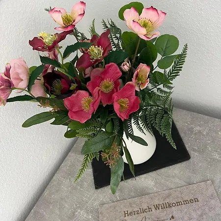 Apartment Kleine Gasse, Super Zentral, Privat Parkplatz, Ruhla